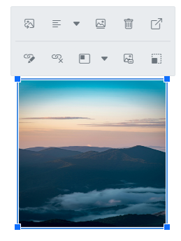 RTE image with link